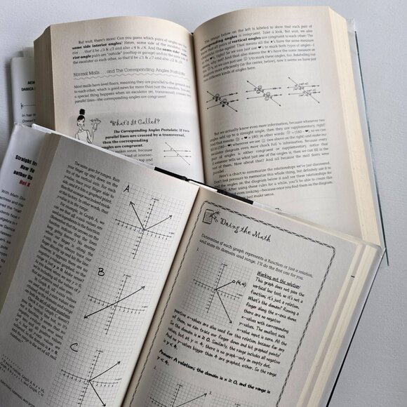 MATH Girls Get Curves AND Hot X:Algebra Exposed Danica McKellar BOOKS - Picture 5 of 9